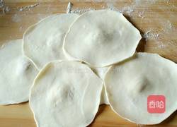 曲曲菜猪肉水饺的做法图解7