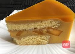 芒果慕斯蛋糕（8寸）的做法图解19