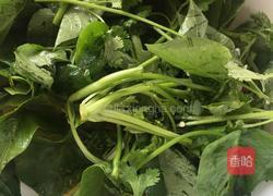 清炒红薯叶的做法图解4