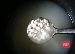 薏仁去湿茶水的做法图解7