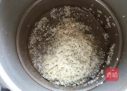 红枣南瓜粥的做法图解4