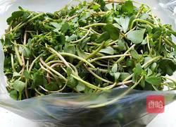 马齿苋肉包子的做法图解2