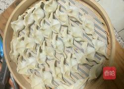 莲菜蒸饺的做法图解6