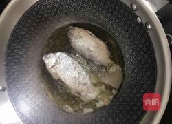香煎罗非鱼的做法图解6