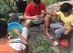 鲜凉草，青凉草的做法图解1