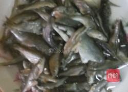 小鱼酱的做法图解1
