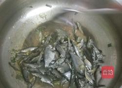 小鱼酱的做法图解6
