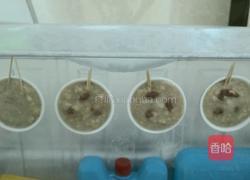 香蕉泥雪糕的做法图解4