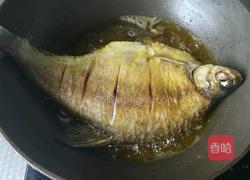 红烧鲳鱼的做法图解1