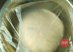 低脂无糖奶盐苏打饼干(30个左右)的做法图解3