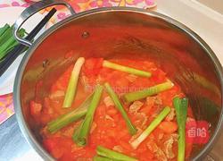 番茄土豆焖牛肉的做法图解6
