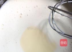 菠萝蜜冰激凌的做法图解3