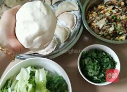 蔬菜香菇肉沫水饺的做法图解6