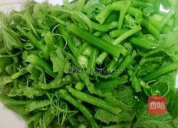 南瓜藤蔓素炒的做法图解3