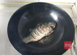 鲫鱼豆腐汤的做法图解4
