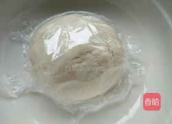 生煎包的做法图解8