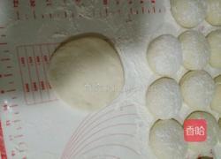 芝麻叶肉包的做法图解5