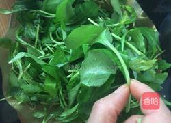 粟米拌马兰的做法图解3