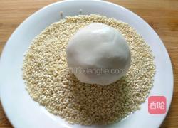 豆沙肉松馅麻团的做法图解16