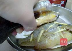 清蒸太阳鱼的做法图解5