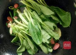 青菜肉丝炒面的做法图解8