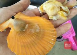 蒜蓉粉丝蒸扇贝的做法图解3