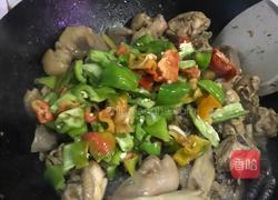 红烧小鸡肉的做法图解9