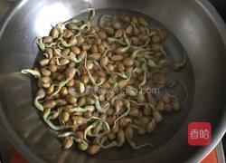 花生芽炒肉丝的做法图解2