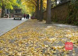 红豆糯米糍的做法图解4