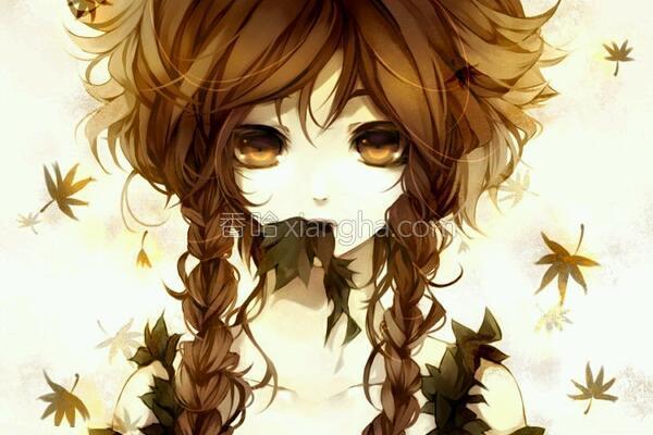 猪皮冻或猪头冻的做法_猪皮冻或猪头冻的做法