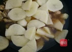 土豆焖鸡肉的做法图解7
