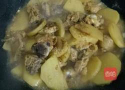 土豆焖鸡肉的做法图解8