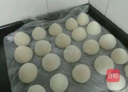 老面馒头（老面面粉清水食用碱)的做法图解11
