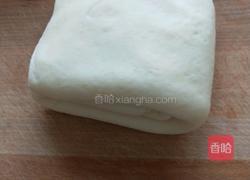 蒸馒头的做法图解11