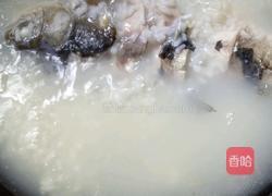 鲫鱼粥的做法图解4