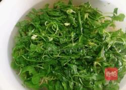 猫耳朵水饺的做法图解5