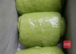 蔬菜吐司（猪油版）的做法图解8
