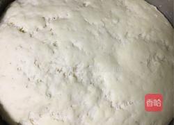三叶青粉丝猪肉大包的做法图解2