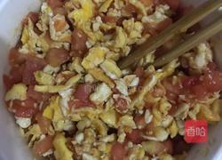 西红柿鸡蛋馅抱蛋煎饺的做法图解4