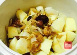 苹果梨雪莲子炖瘦肉汤的做法图解5