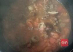 西红柿口蘑炖牛腩的做法图解13