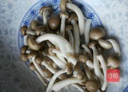 鸽肚汤的做法图解8