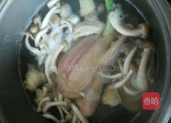 鸽肚汤的做法图解11