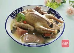 鸽肚汤的做法图解12