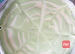 青汁斑马纹蛋糕的做法图解9