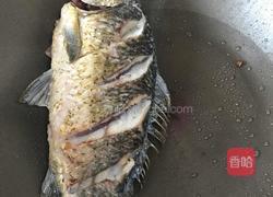 河鲫鱼豆腐汤的做法图解3