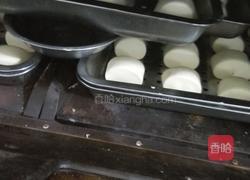 陕西杠子馒头的做法图解7