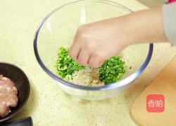 韩式辣白菜饺子的做法图解9