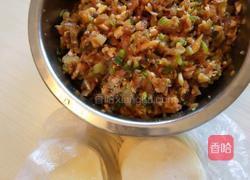 萝卜猪肉饺子的做法图解3