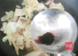 土豆白菜炖肉的做法图解6